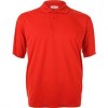 Chemise Gran Variedad de Colores